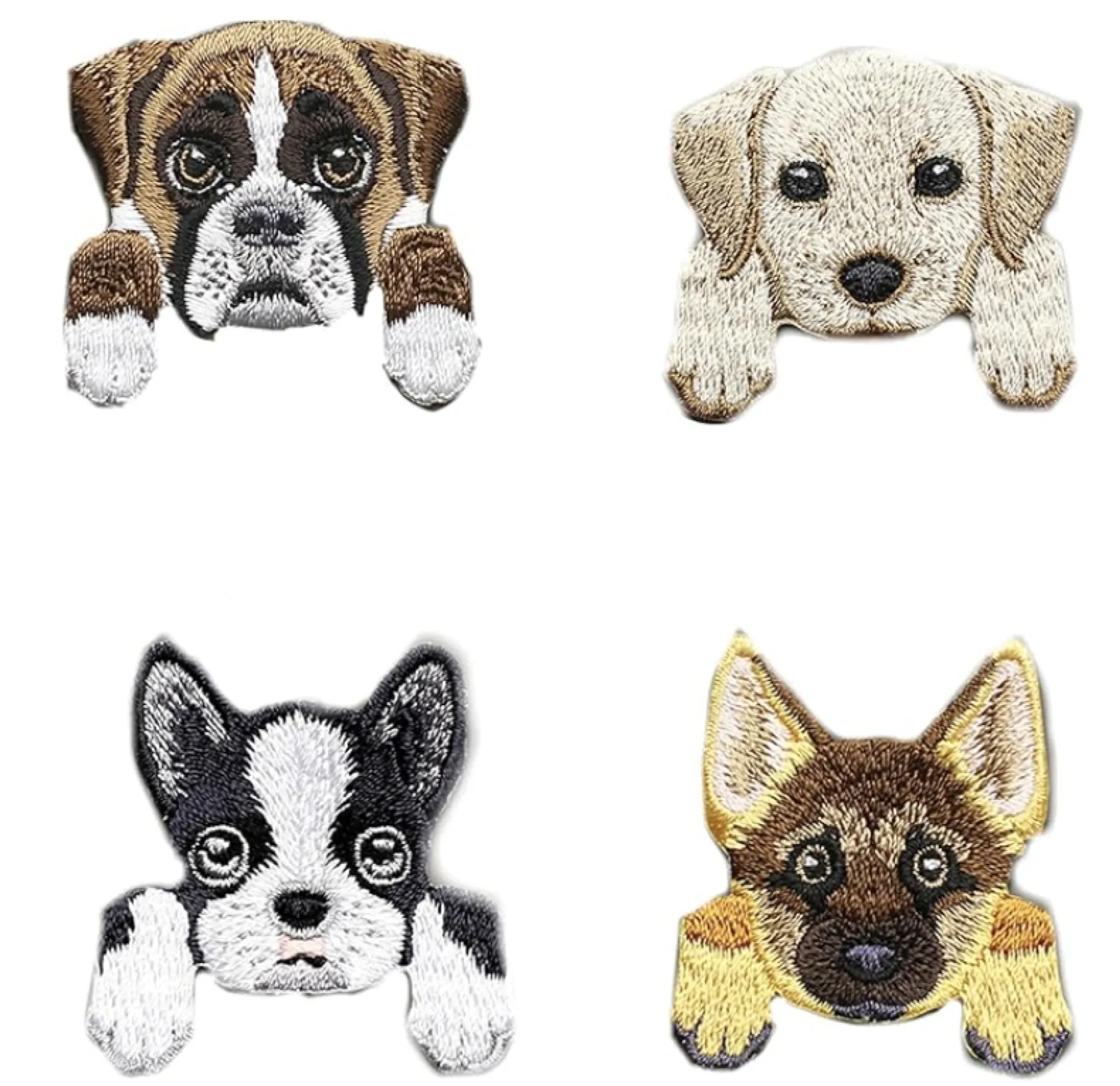 Pet Customization